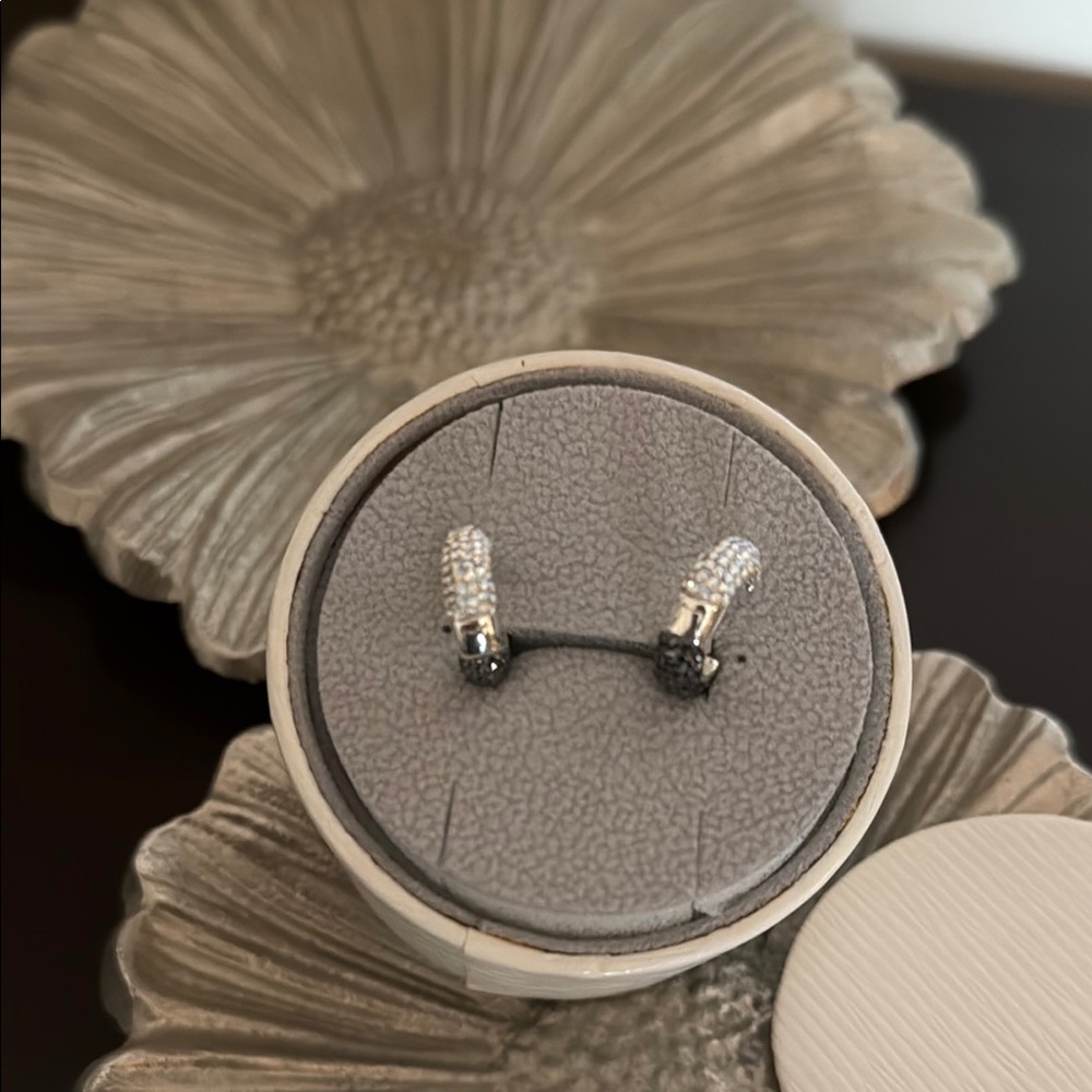 Hillberg and Berk crystal hoops